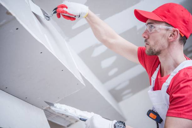 Best Mold Documentation for Insurance Claims  in West Pittston, PA